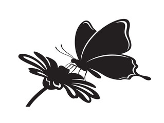 Butterfly on flower silhouette with gentle natural interaction scene  © Safowan