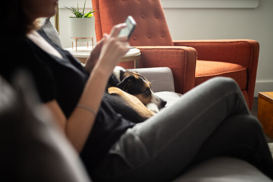 A woman relaxing on a couch with a dog