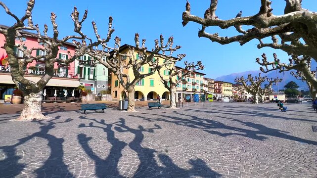 Sycamore alley on Giuseppe Motta Square, Ascona, Switzerland