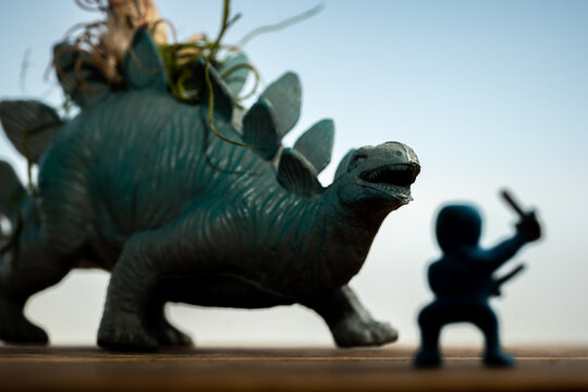 Tiny ninja figurine with a stegosaurus toy.