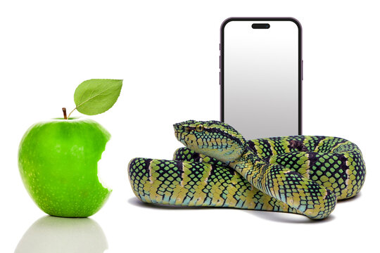 Symbolbild Social Media Nutzung von jungen Menschen und  Kindern