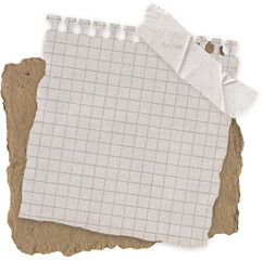 torn blank pages with uneven texture edges. set of ripped white paper sheets png  crumpled torn paper page. Isolate on a white background. Dusty shabby folds. For design and titles. © James