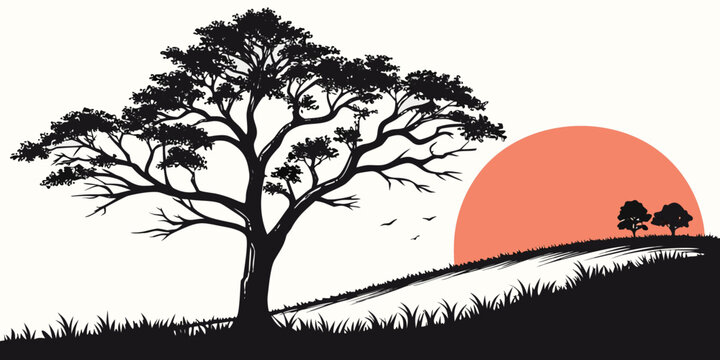 A tree on a hill with the sun setting