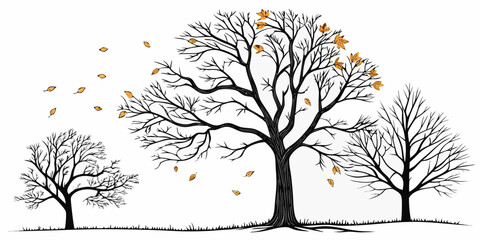 Three bare trees with leaves falling from branches