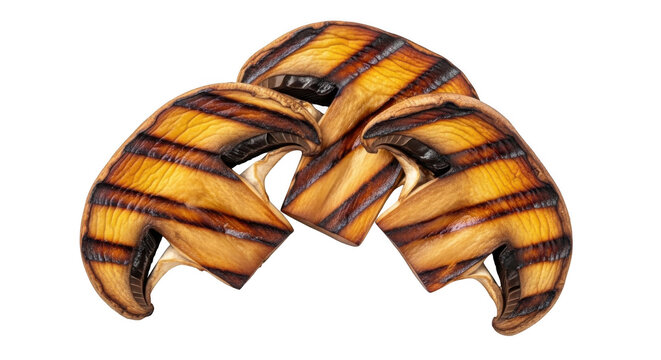 A cluster of three tiger wing sections displays intricate striped patterns ideal for digital art on transparent background