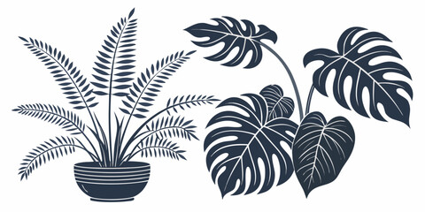 A variety of potted plants with large, dark green leaves and unique shapes. © Mamun