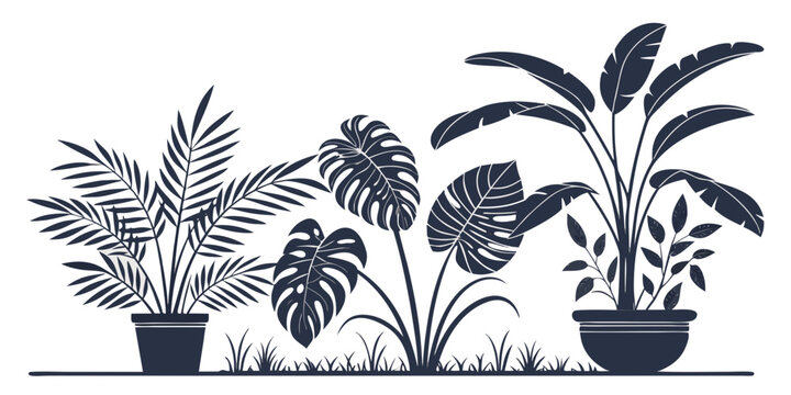 A diverse collection of potted plants arranged in a row on a windowsill