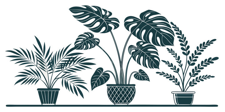 A diverse collection of potted plants arranged in a row on a windowsill