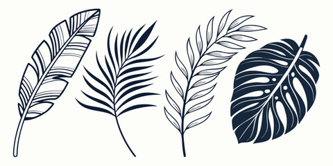 A collection of tropical leaves showcasing diverse shapes and patterns in black and white © Mamun