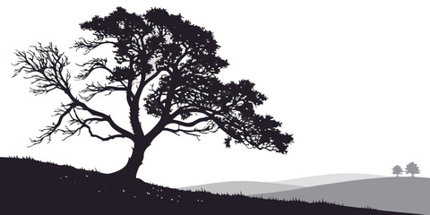 A majestic tree stands tall on a hill overlooking a serene landscape at sunset. © Mamun