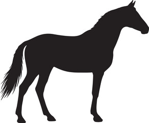 Obraz premium Smart horse icon in silhouette on white background. 