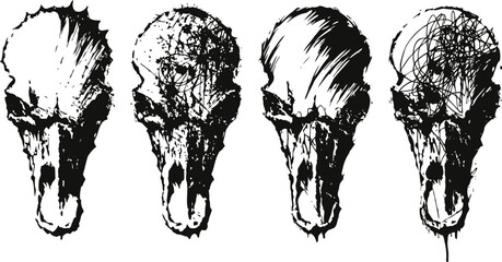 Fototapeta premium vintage anatomical drawings of bird skulls with detailed shading and texture variations