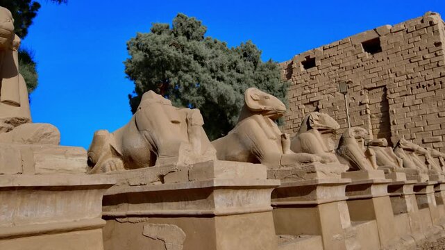 Karnak Temple in Luxor, Egypt. Ram-headed sphinx alley at Karnak Temple. Ancient stone statues of Amun god along sacred processional avenue.