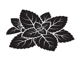 Mint leaves silhouette with refreshing and crisp botanical feel  © Safowan