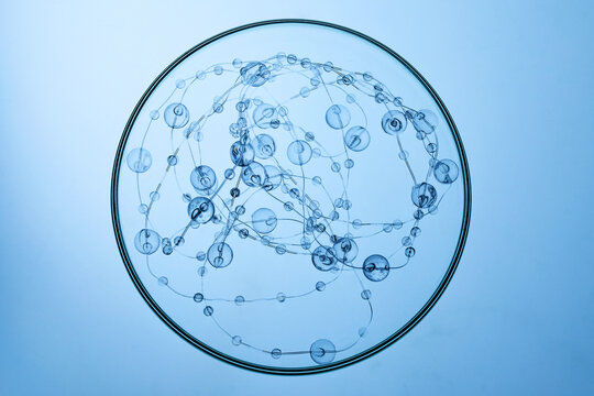 Abstract cosmetic lab. Blue petri dish with abstract scientific molecular structure