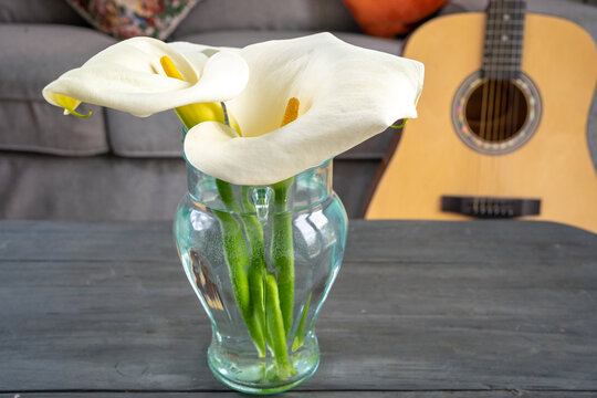 glass vase with lilis in a living room ,with a sofa and a guitar in the background