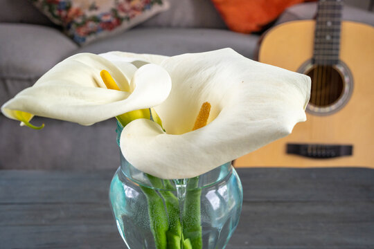 glass vase with lilis in a living room ,with a sofa and a guitar in the background