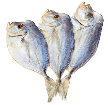 Three dried lookdown fish isolated on white background.