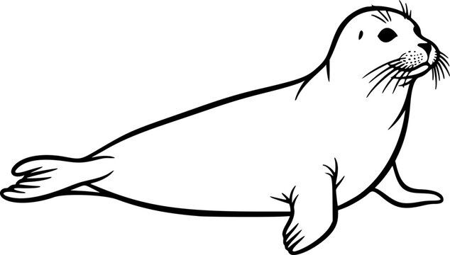 harbor seal line art silhouette vector illustration
