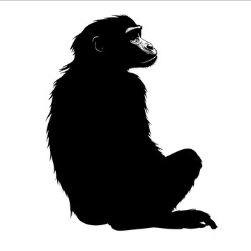 black silhouette howler monkey on a white backgrounk vector