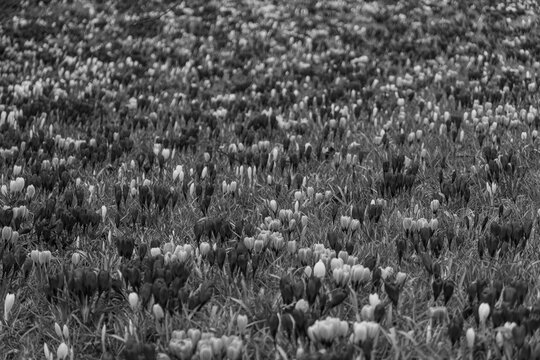 Aarhus an der Ostsee in D&auml;nemark