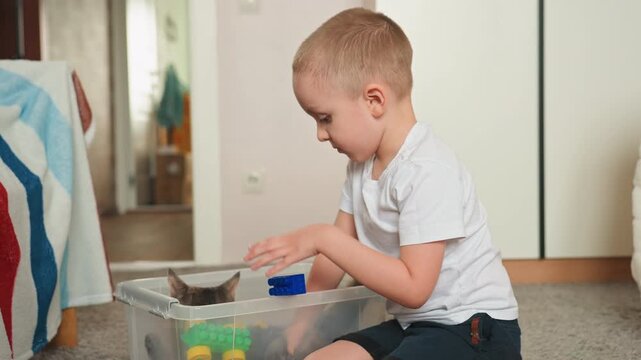 Young son playing with toy bin, focused on sorting colorful blocks while curious cat peeks tail into frame, warm bedroom light, soft carpet, calm domestic atmosphere, candid family moment