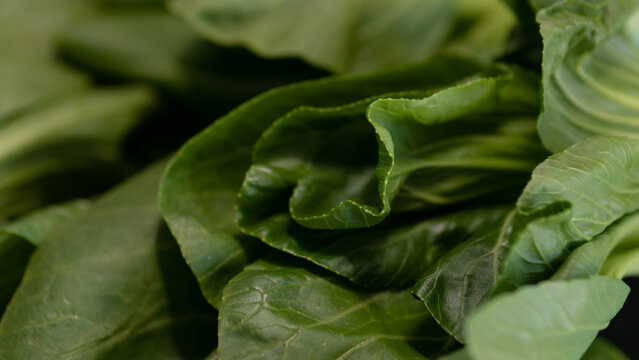 Macro fresh bok choy leaves texture green organic vegetable background