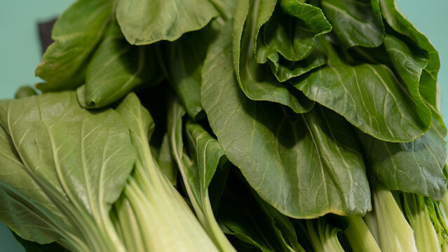 Macro fresh bok choy leaves texture green organic vegetable background