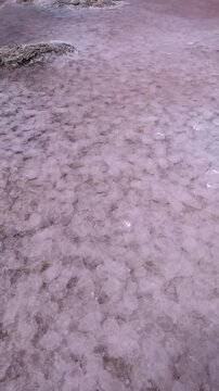 Self-precipitating table salt Sodium chloride at the bottom of a dried-up estuary in the summer