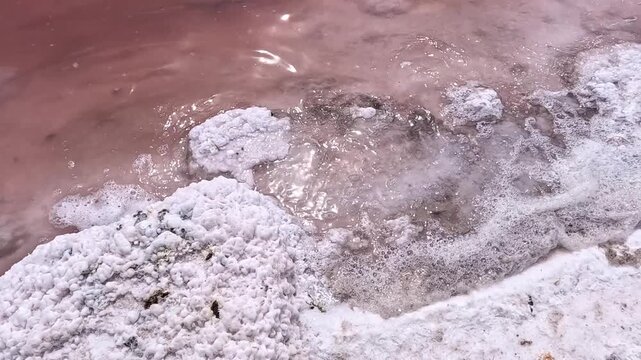 Kuialnyk Estuary, salt Sodium chloride crystallized on the bottom of a drying estuary