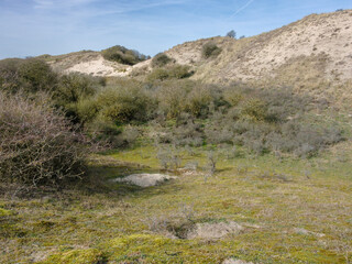 Fototapeta premium Nature reserve 