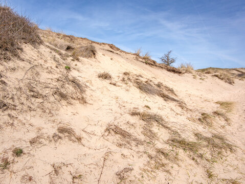 Nature reserve "Noordhollands Duinreservaat" Egmond aan Zee, Noord-Holland province