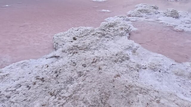 Kuialnyk Estuary, salt Sodium chloride crystallized on the bottom of a drying estuary, Odessa region, Ukraine