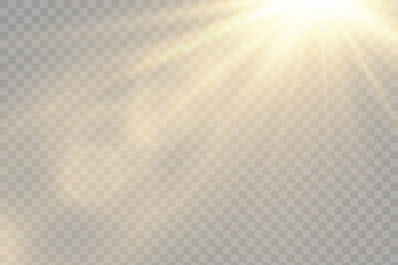 Vector transparent sunlight with lens flare effect. Overlays, overlay, light, Sun, sunrays, overlays, light transitions, lens flare, light leaks and glare in PNG format. PNG sunlight flare light  © Alesya