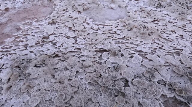 Self-precipitating table salt Sodium chloride at the bottom of a dried-up estuary in the summer, Dead Sea in the Odessa region, Kuyalnik Estuary