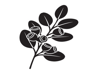 Elegant eucalyptus branch silhouette with clean botanical composition  © Mitu321
