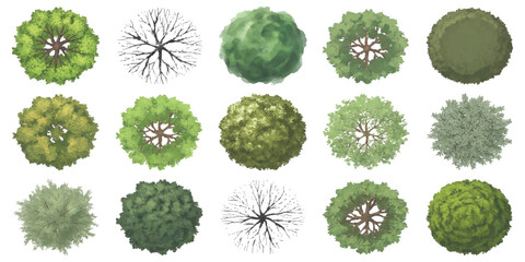 Set of textured watercolor top view trees and bare branches for landscape plans © ZenVectors