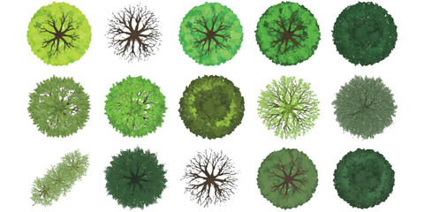 Detailed top view green trees and bare branches for architectural landscape map rendering © ZenVectors