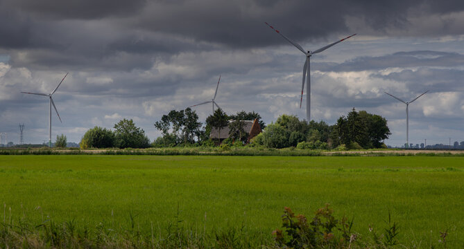Żuławy landscape, lonely house among a cluster of trees in the middle of a field, Poland