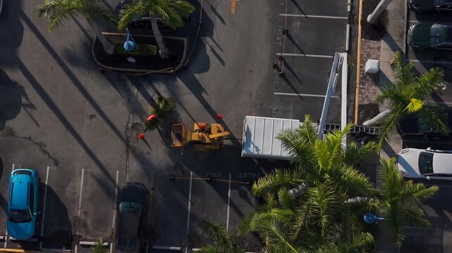 Aerial view of landscaping crew doing maintenance on bucket truck cutting palm trees and mulching the leafs with wood chipper