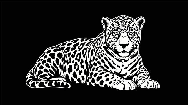 Jaguar illustration against black background