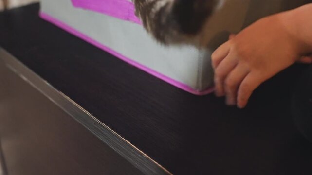 Cat tail and small hand reaching behind pinktrimmed fabric box on sofa edge, closeup of curious son interacting with family cat, soft indoor lighting, textured fur swishing, playful domestic moment,