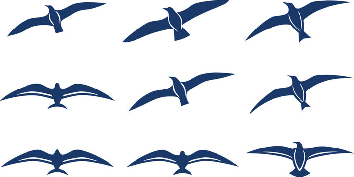 Dark blue seagulls flying in various directions on white background birds flying birds