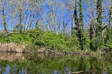 Obraz premium Basiglio, primavera in fiore nei laghi di Basiglio, Lombardia, Italia,
