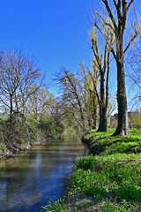 Obraz premium Basiglio, primavera in fiore nei canali, rogge e parchi di Basiglio, Lombardia, Italia,