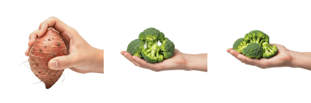 Hand holding fresh sweet potato and broccoli florets isolated on white background collage set image.