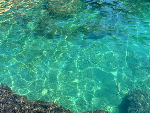 Clear sea water with underwater algae.