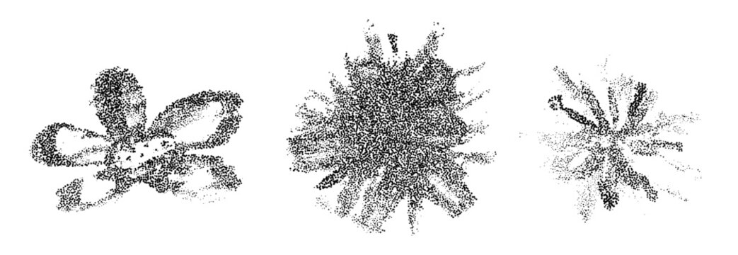 Halftone dot flowers, hand drawn stipple daisies