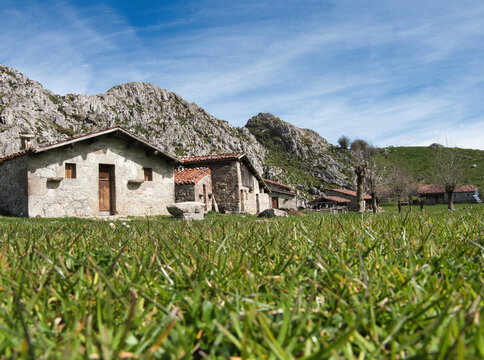 Traditional stone houses in a mountain pasture landscape with vibrant green grass and blue sky - Asturian shepherds' huts (majadas) set against the rugged backdrop of the Picos de Europa.