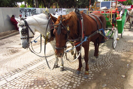 calesa